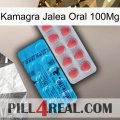 Kamagra Jelly Oral 100Mg new14